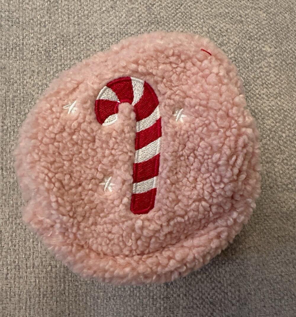 The Darling Effect Candy Cane Teddy Zippered Pouch-NWOT
